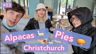 Christchurch was fun⛪️, and...... do I look like an Alpaca🦙?  Vlog #3