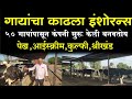 फक्त असे गाई पालन करा कधीच दूध व्यवसाय तोट्यात जाणार नाही || Dairy farming