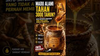 Makanan Ini Tidak Pernah Membusuk Selama 3000 Tahun?!