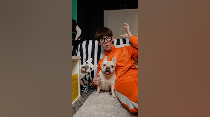 Prank your pet
