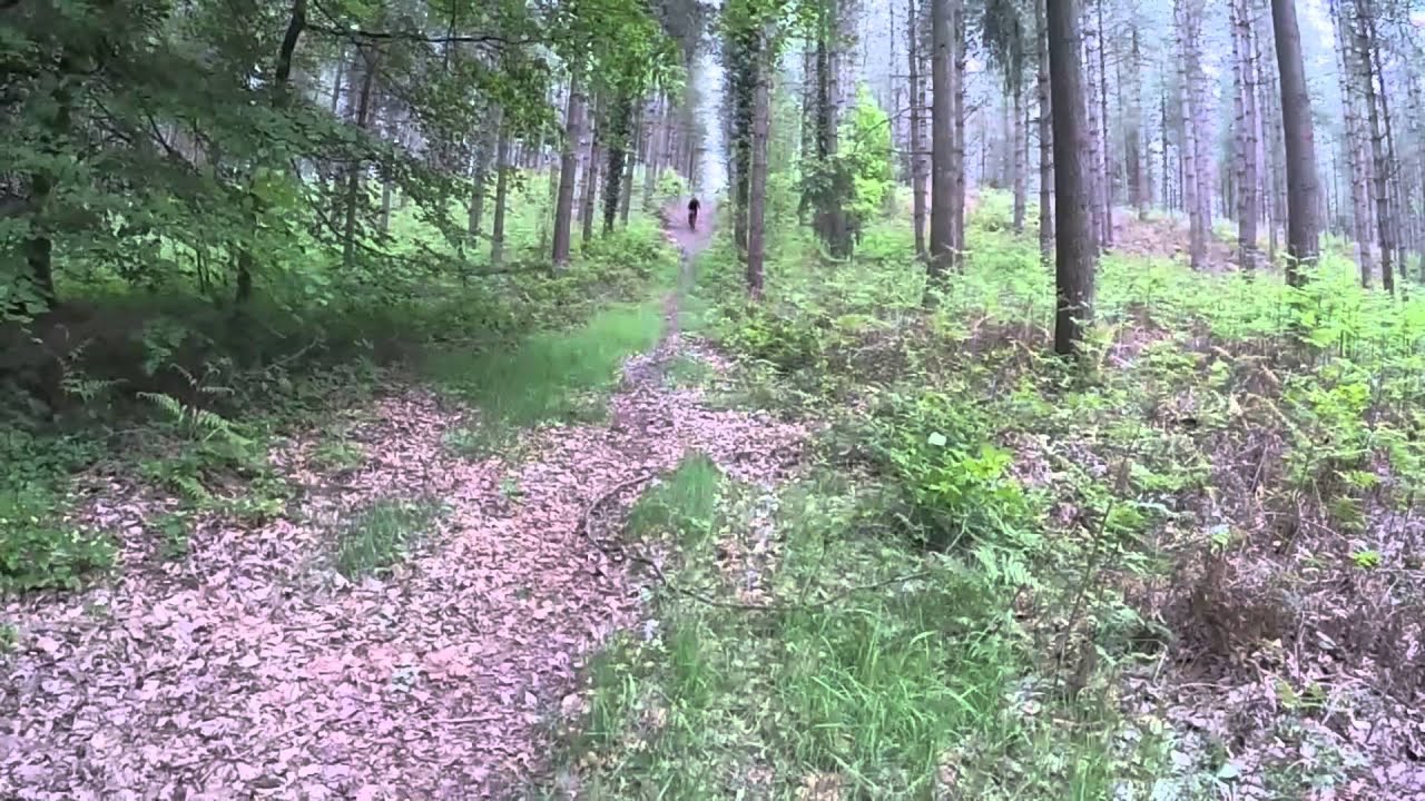 Essai VTT électrique BH Emotion EVO