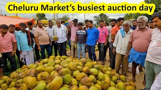 ಗುಡ್ಡೆ ಲೆಕ್ಕ ಹರಾಜು - ಹೋಲ್ ಸೇಲ್ ದರ 40 ರೂಪಾಯಿ