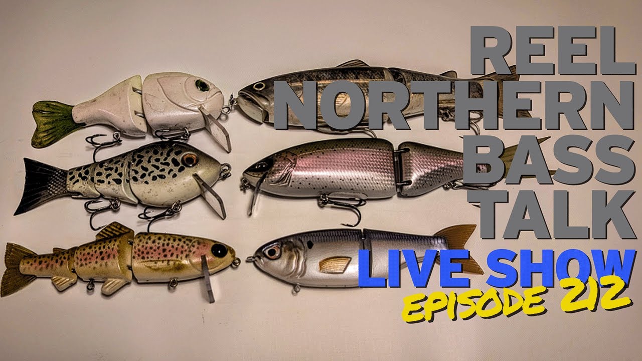 Swimbait Fishing in the North! - Reel Northern Bass Talk Livestream