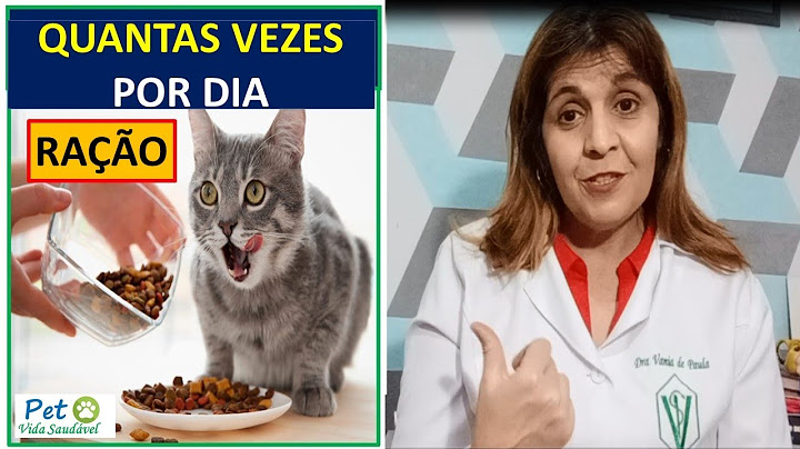 Quantas vezes tem que alimentar um filhote de gato?