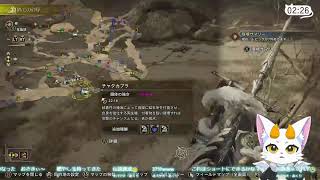 【龍尾】狩りに行くぞー🐾【ゲーム雑談】【モンスターハンターワイルズ】