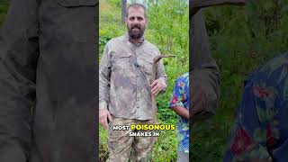 Tackling Overgrowth & Dangerous Snakes: Brush Clearing Survival #shorts