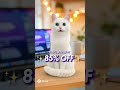 #viral #viralcatvideo #hostingerblackfriday #doconic