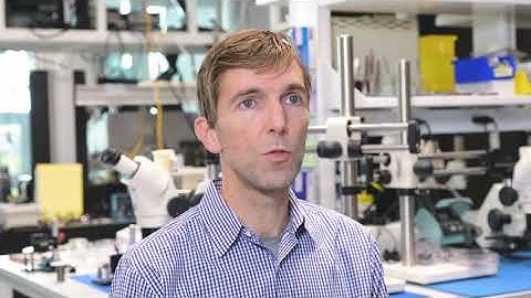 Harvard Prof. Robert Wood describes the latest research at the Harvard Microbiotics Lab