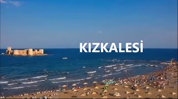 -Coding To The Future 