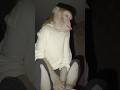 Спасибо всем, кто нам мешает,Кто нам намеренно вредит #животные #macaque #обезьяна #petmonkey #pets