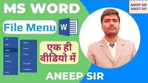 MS WORD - File Menu - File Tab - New - Open - Save - Save As - Print Export Info History Share Close