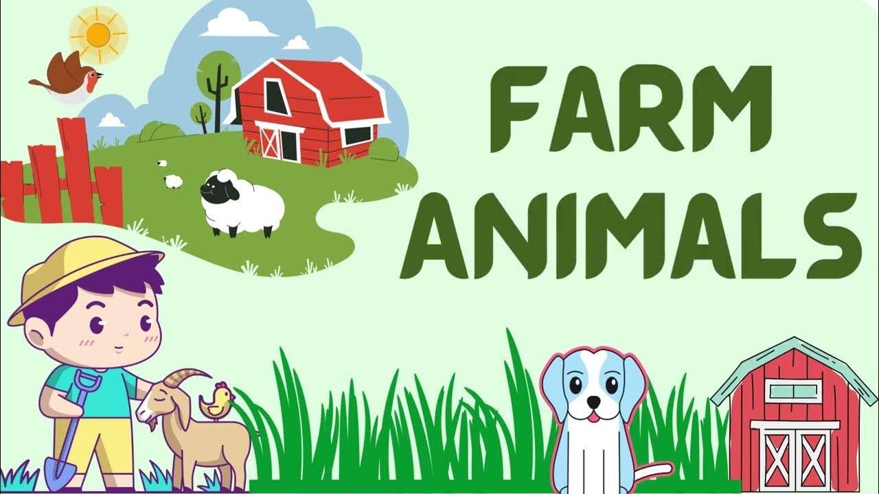 Farm animals kids vocabulary educational videos farm animals flash cards YouTube
