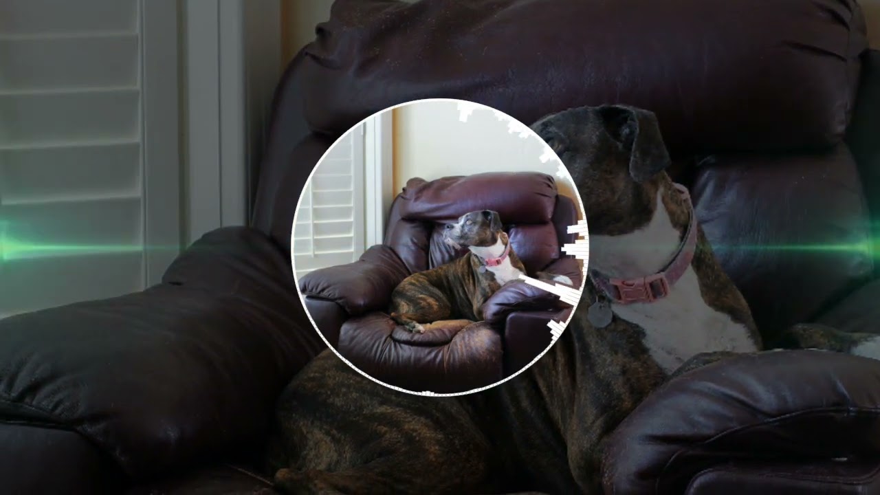 Easy - Relaxing Background Music / Calm, Soft, Gentle Piano Ambient Music (Free Download)