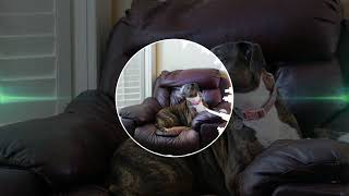 Easy - Relaxing Background Music / Calm, Soft, Gentle Piano Ambient Music (Free Download) screenshot 4