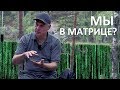 "Мы в матрице" Разговоры у костра