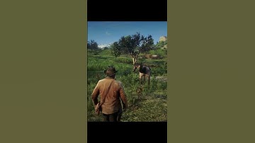 Cliff Scene & Rescue (RDR2) #rdr2