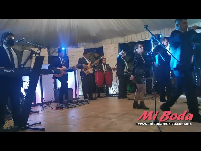 Salsa con Grupo Musical en vivo para bodas en Cuernavaca | Mi Boda México