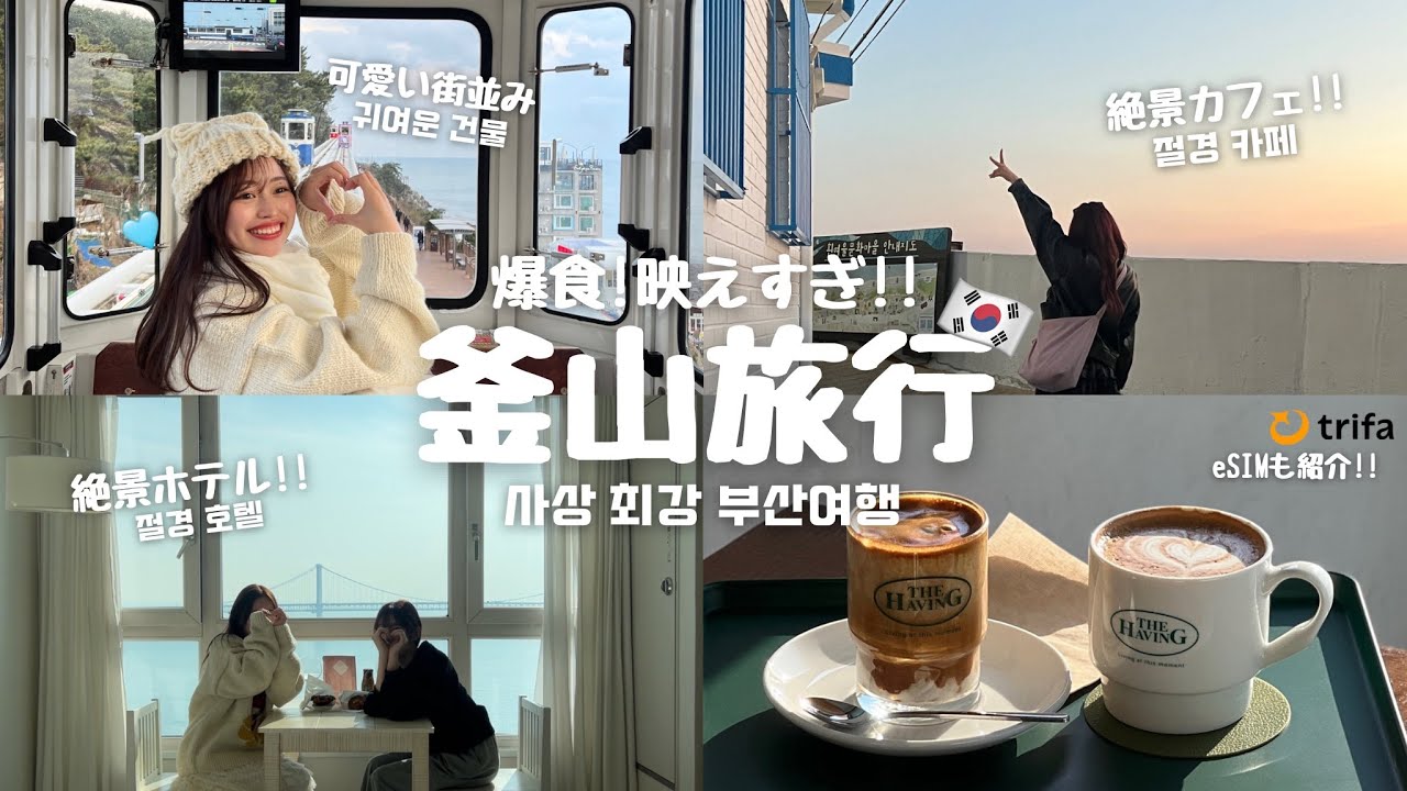 【釜山旅行🇰🇷】この時期行くなら絶対釜山!! / 爆食系インフルエンサーカフェ店員の釜山旅行🤍 / 影島で映えすぎるカフェ巡り☕️ / ご当地グルメも食べまくり! /最強eSIM紹介