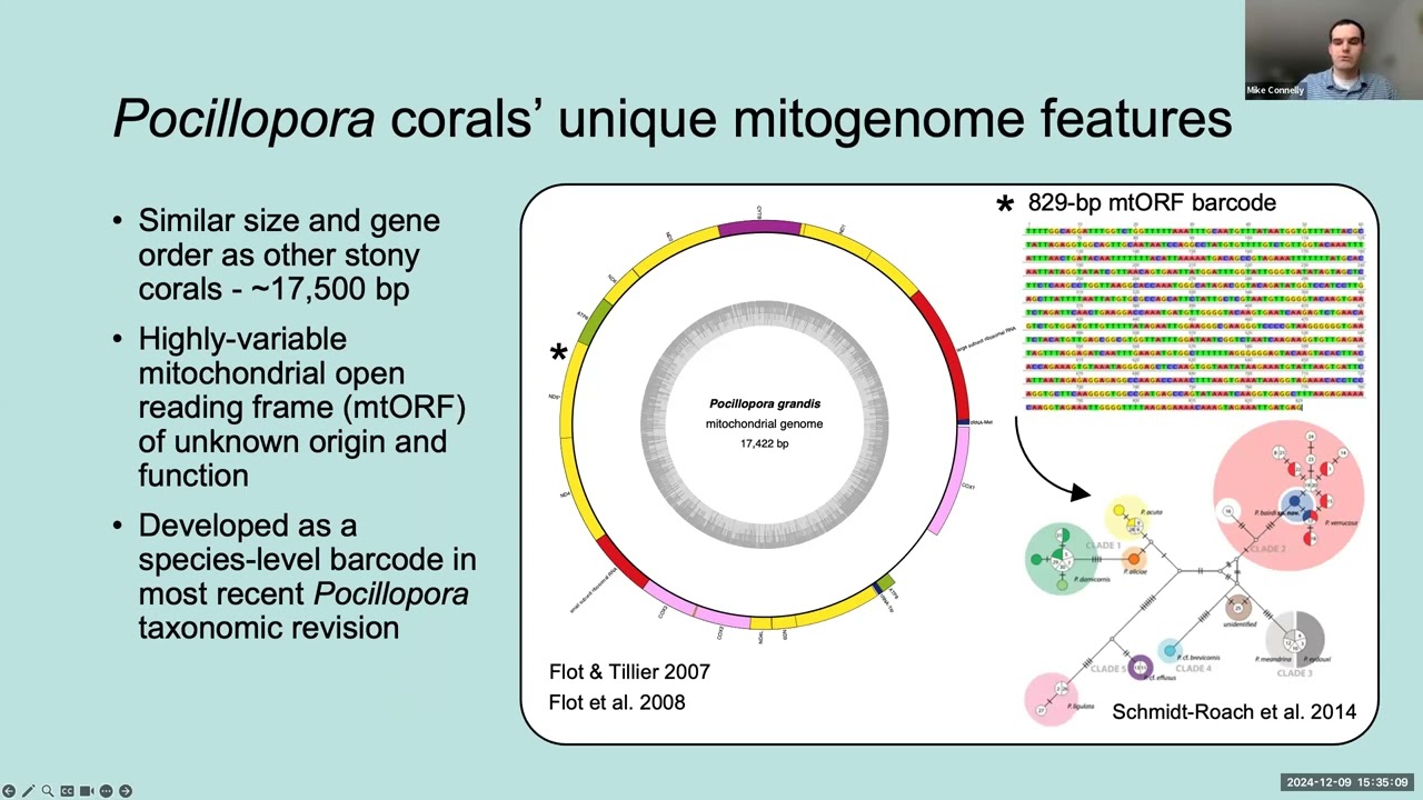 Genome skimming reveals hidden species diversity in eastern tropical Pacific Pocillopora corals