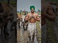 #viralvideo#viralvideos#ai #funnyvideos #youtubevideos 💐💐farming