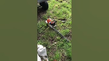 STIHL MS 500I #arboristlife #buckinexperience #tree #chainsaw #stihl #firewood #trees#standupandbuck