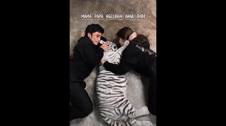 papa Alshad dan mama Tiara kelonin baby selen, lucu banget!!🥰