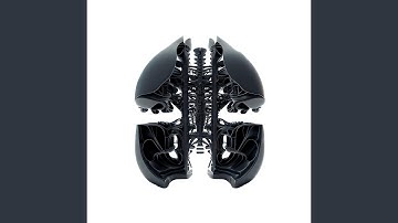 Introspection Illusion