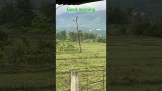 Good Morning