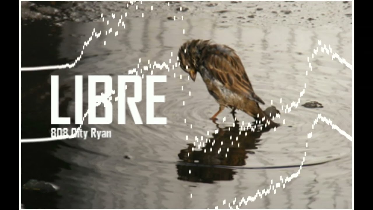 F R E E (808 City Ryan) instrumental only [FREE BEAT]