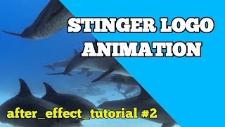 AFTER EFFECT STINGER LOGO ANIMATION WITH FREE TEMPLATE