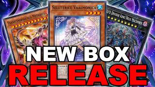 NEW BOX REVIEW & OPENING! D/D/D, VAALMONICA, XENO & MORE!  (Yu-Gi-Oh! Duel Links) screenshot 4