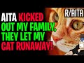 AITA For Kicking Out My Family, They Let My Cat RUN AWAY! (r/aita)