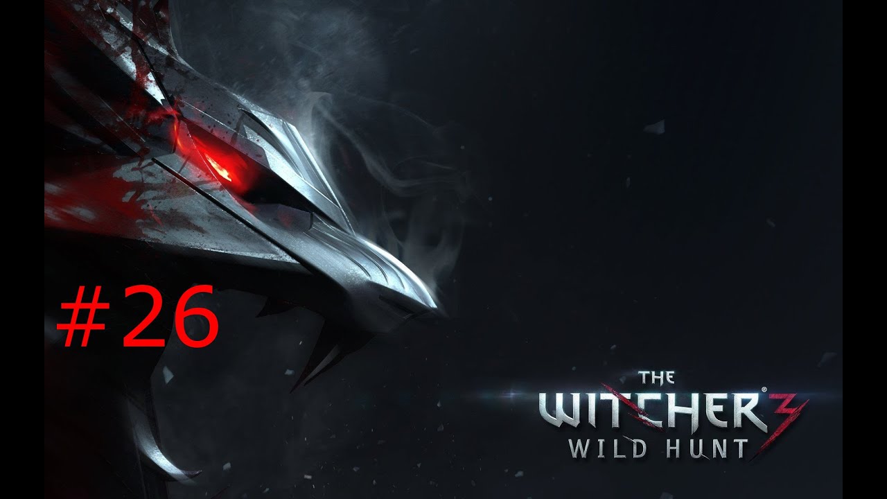 The Witcher 3 Ahora O Nunca