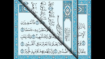 فضيلة القارئ الشيخ إبراهيم رضوان... سورتا الزلزلة والعاديات