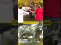The Priceless Camel That Loves Lahoris | Discover Pakistan shorts