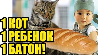 МАЛЫШ и КОТ ЕДЯТ БАТОН. Смешные коты и дети кушают! Маленький ребенок против кота))) МАЛЫШ и КОТ ЕДЯТ БАТОН. Смешные коты и дети кушают! Маленький ребенок против кота)))