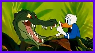 Donald Duck Classic Cartoons  Episodes   Chip And Dale Mickey Pluto  Disney Movies Classics