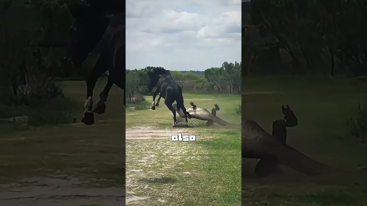 How Serious Can It Be If A Horse Kicks You Satisfying Knowledge Facts
