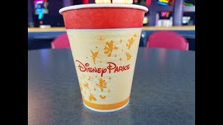 Why Does Disney World Water Taste So Bad?