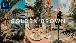 how to edit Golden Brown lightroom preset | lightroom preset tutorial free dng screenshot 4
