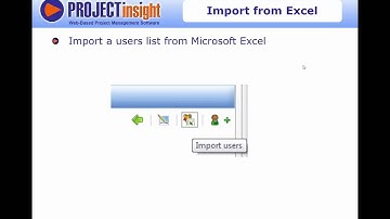 Project Insight Project Management Software Supports Vizion Interactive