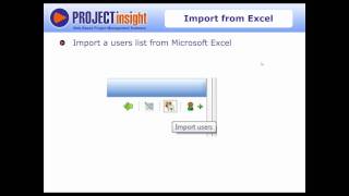 Project Insight Project Management Software Supports Vizion Interactive