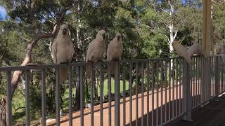 13A Merilbah Road Bowral