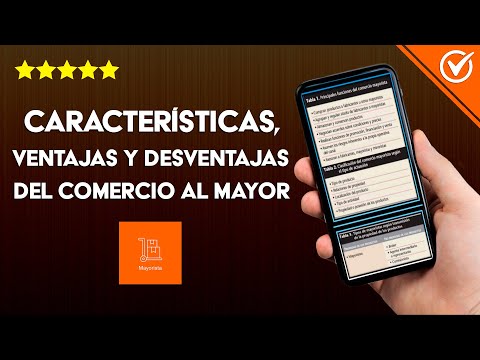 ¿Cuáles son las Características, Ventajas y Desventajas de los Comercios Mayoristas?