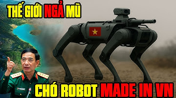 Chó Robot Made in Vietnam – Mở Màn Cuộc Cách Mạng Chiến Trường Tương Lai | BÍ ẨN QUÂN SỰ