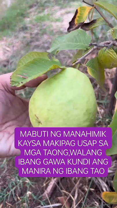 #gwaba