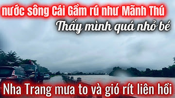 ‼️Quá Khủng khiếp ,Sông Cái Gầm Rú Như Thú Dữ! Nước Cuồn Cuộn Muốn Nuốt Chửng Nha Trang