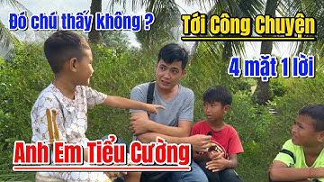 Cười sặc cơm Câu chuyện muôn thuở của Anh Em Tiểu Cường
