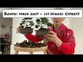 Bonsai Made Easy - DIY Hinoki Cypress