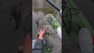 High School Student Saves Dog From Frozen Lake